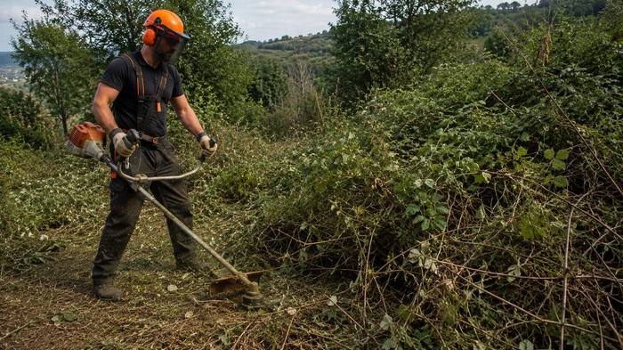 Desbroces y limpieza de fincas rústicas